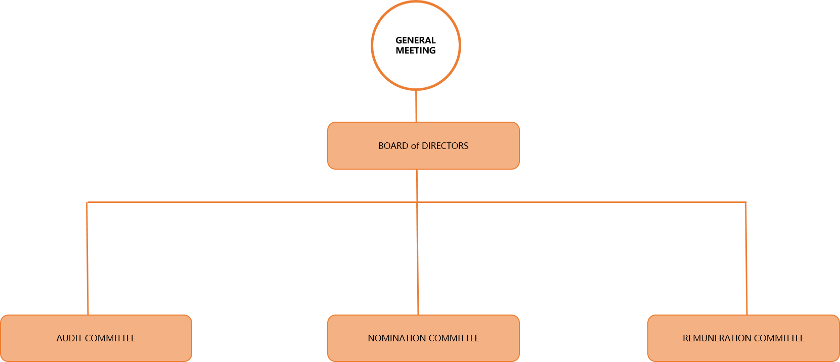 Governance Structure